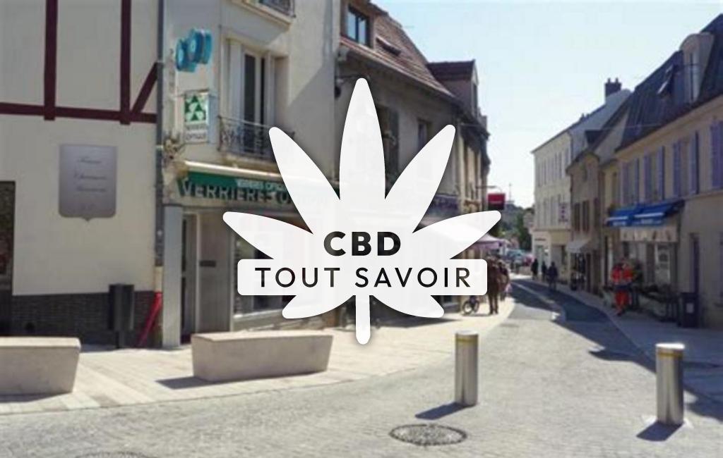 Village à Verrieres avec feuille Cannabis CBD