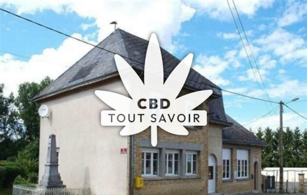 Village à Ardeuil-Et-Montfauxelles avec feuille Cannabis CBD