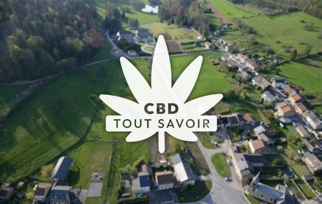 Village à Guignicourt-sur-Vence avec feuille Cannabis CBD