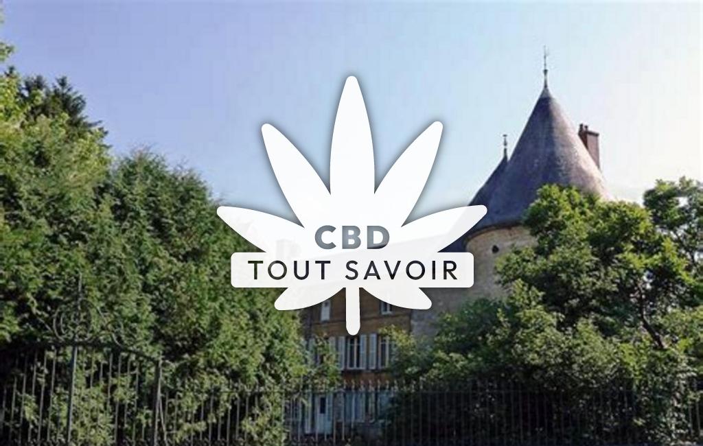 Village à Montigny-sur-Vence avec feuille Cannabis CBD