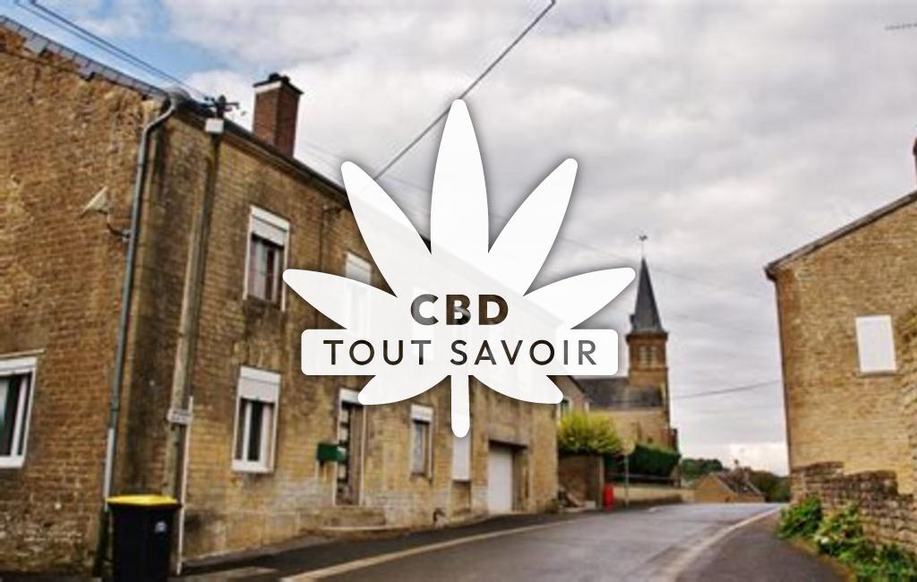 Village à Saint-Pierre-sur-Vence avec feuille Cannabis CBD