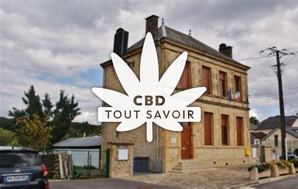 Village à Issancourt-Et-Rumel avec feuille Cannabis CBD