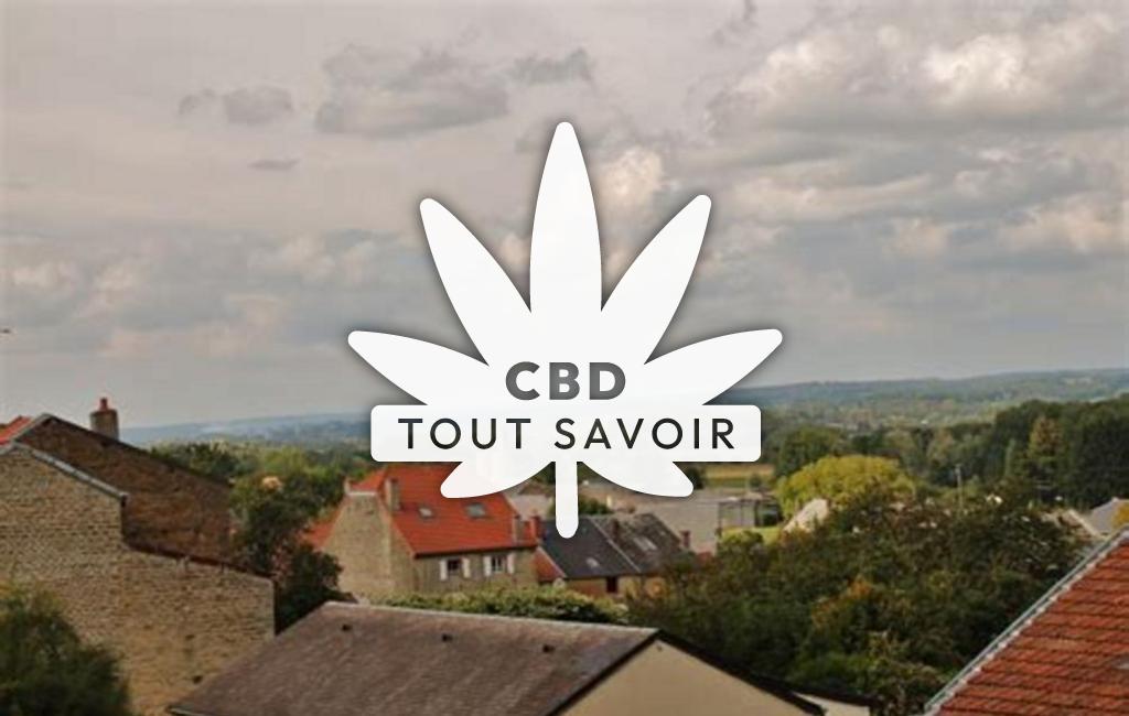 Village à Remilly-Aillicourt avec feuille Cannabis CBD