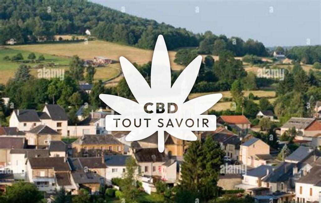 Village à Joigny-sur-Meuse avec feuille Cannabis CBD