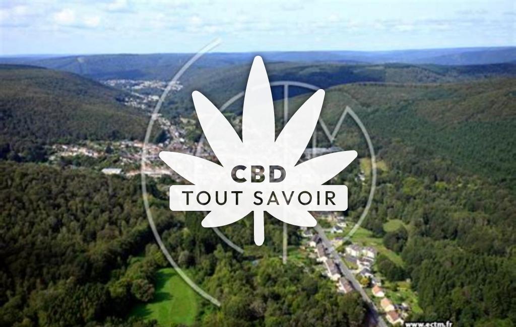 Village à Neufmanil avec feuille Cannabis CBD