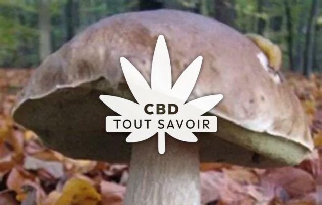 Village à Tournavaux avec feuille Cannabis CBD