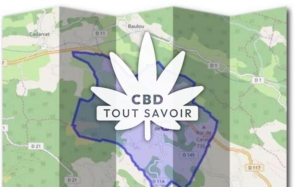 Village à Saint-Martin-de-Caralp avec feuille Cannabis CBD