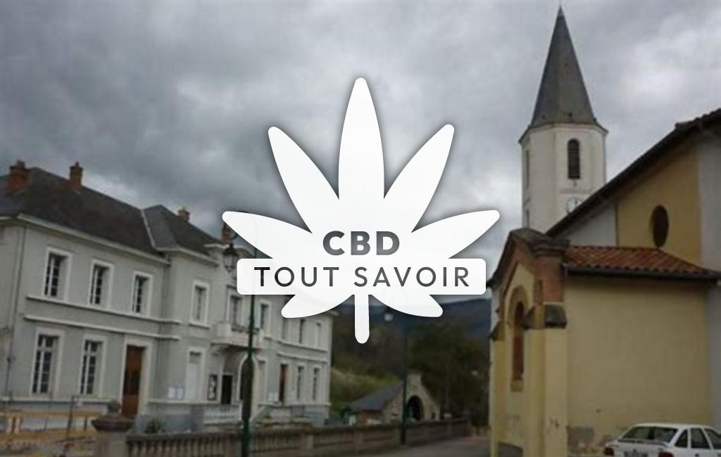 Village à Saint-Paul-de-Jarrat avec feuille Cannabis CBD