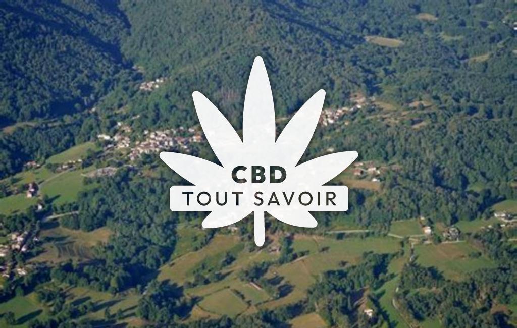 Village à Saint-Pierre-de-Riviere avec feuille Cannabis CBD