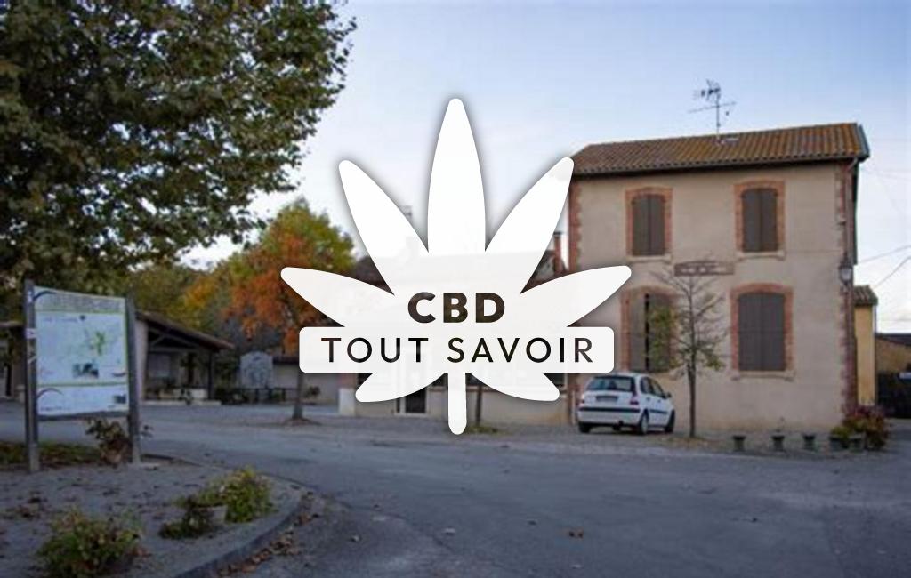 Village à Ludies avec feuille Cannabis CBD