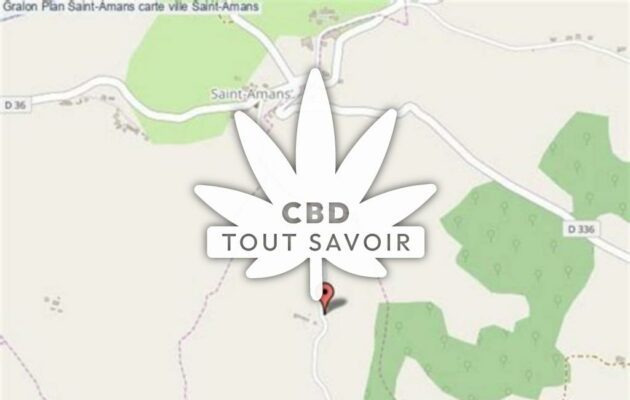 Village à Saint-Amans avec feuille Cannabis CBD