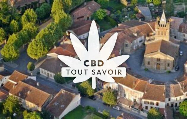 Village à Saint-Martin-D'Oydes avec feuille Cannabis CBD