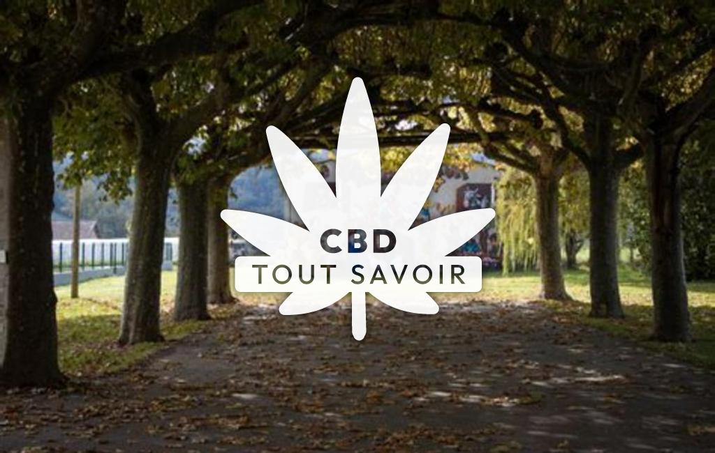 Village à Saint-Victor-Rouzaud avec feuille Cannabis CBD