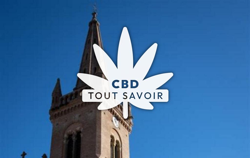 Village à Villeneuve-du-Pareage avec feuille Cannabis CBD