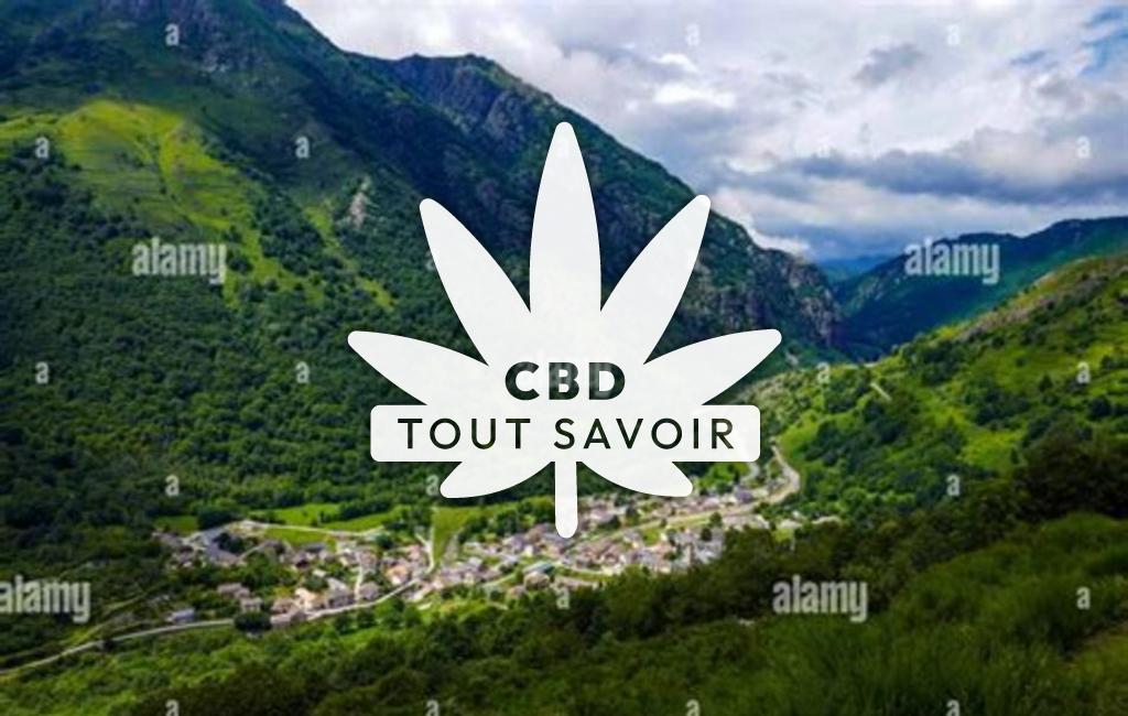 Village à Merens-les-Vals avec feuille Cannabis CBD