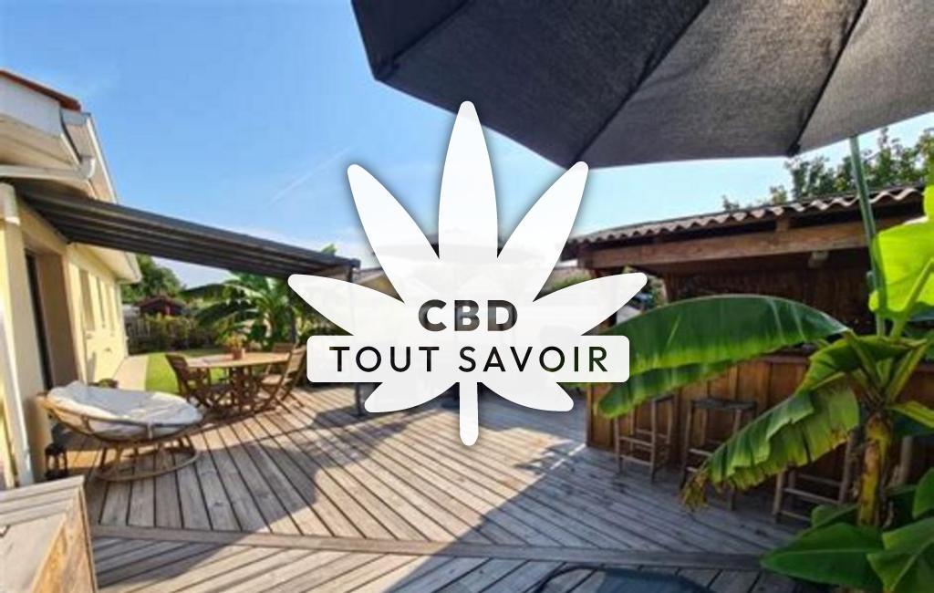 Village à Cazaux avec feuille Cannabis CBD