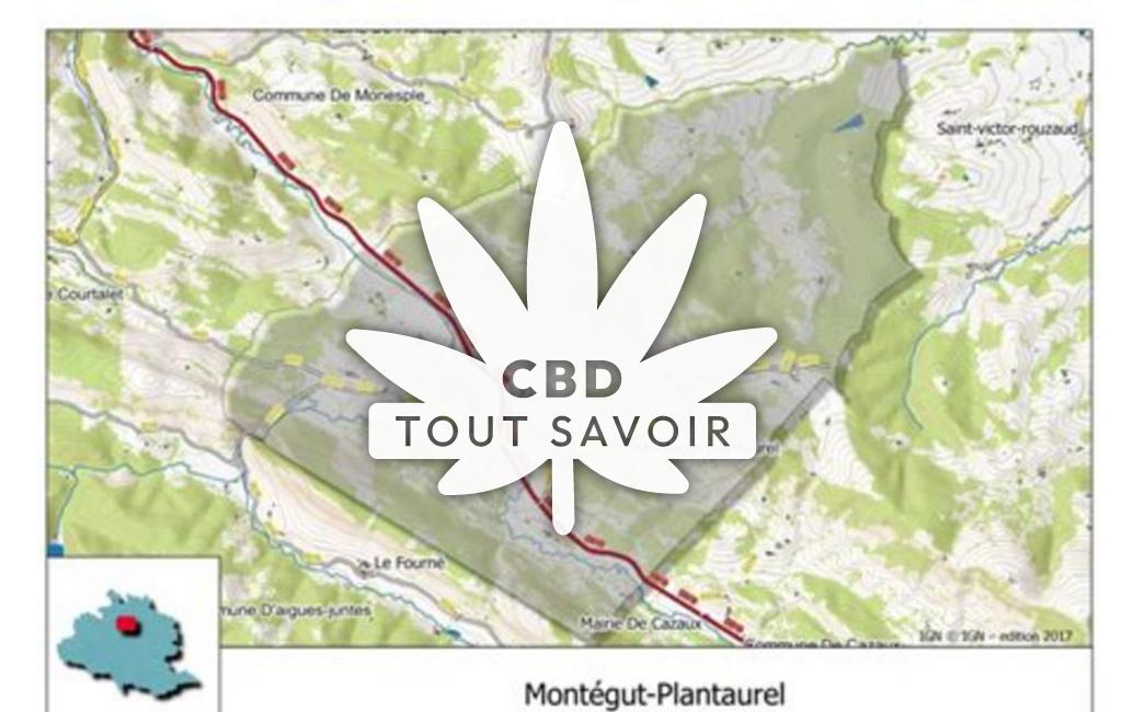 Village à Montegut-Plantaurel avec feuille Cannabis CBD