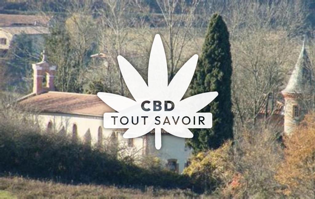 Village à Saint-Bauzeil avec feuille Cannabis CBD