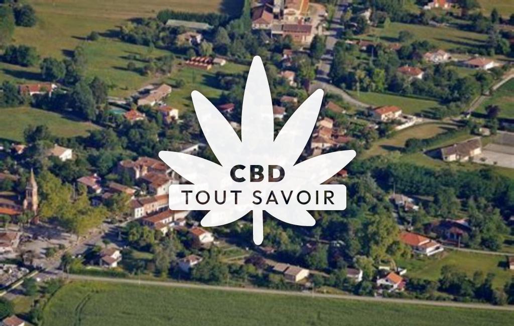 Village à Artigat avec feuille Cannabis CBD