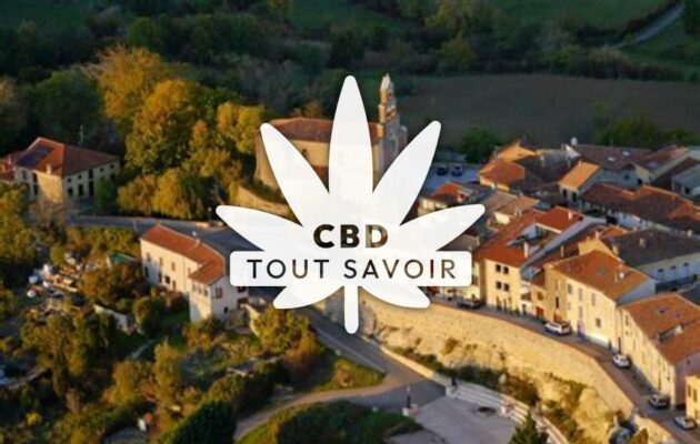 Village à Carla-Bayle avec feuille Cannabis CBD