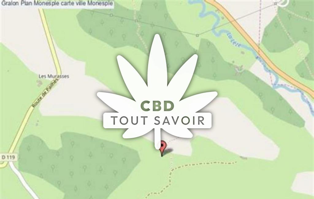 Village à Monesple avec feuille Cannabis CBD