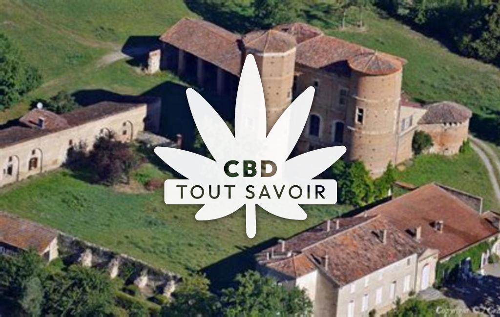 Village à Sieuras avec feuille Cannabis CBD