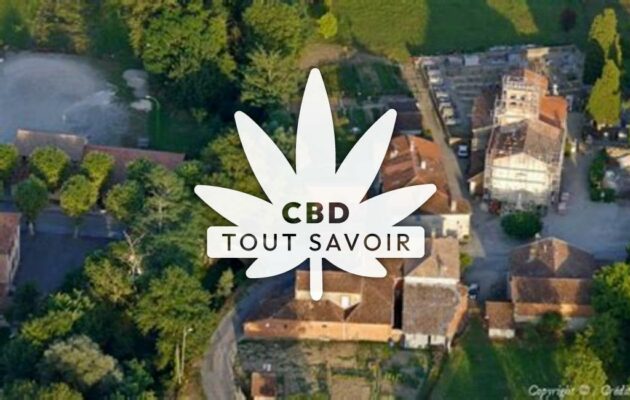 Village à Villeneuve-du-Latou avec feuille Cannabis CBD