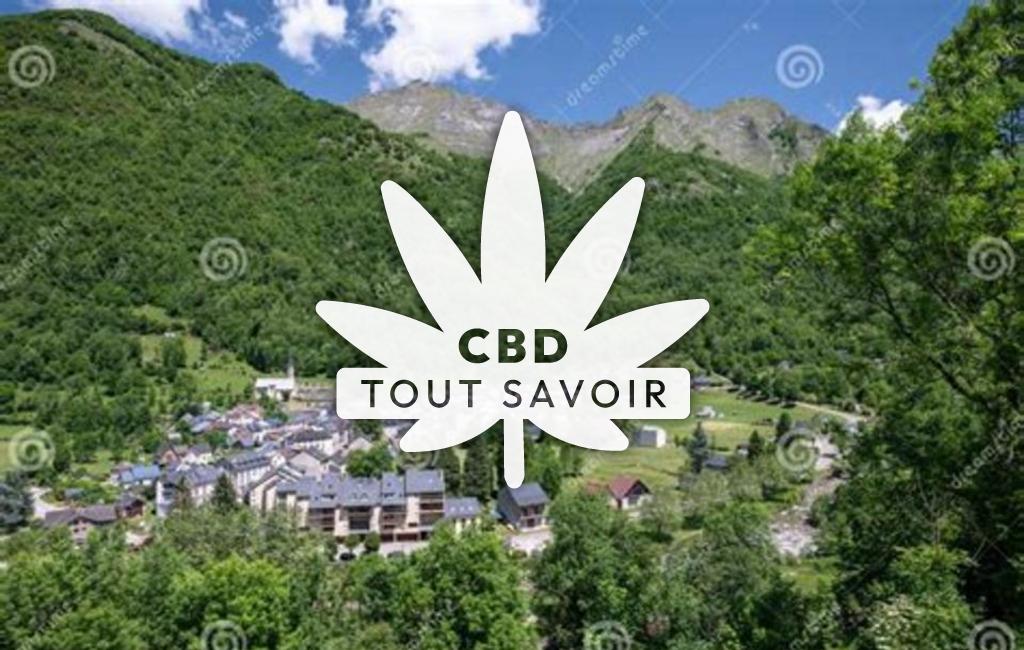 Village à Aulus-les-Bains avec feuille Cannabis CBD