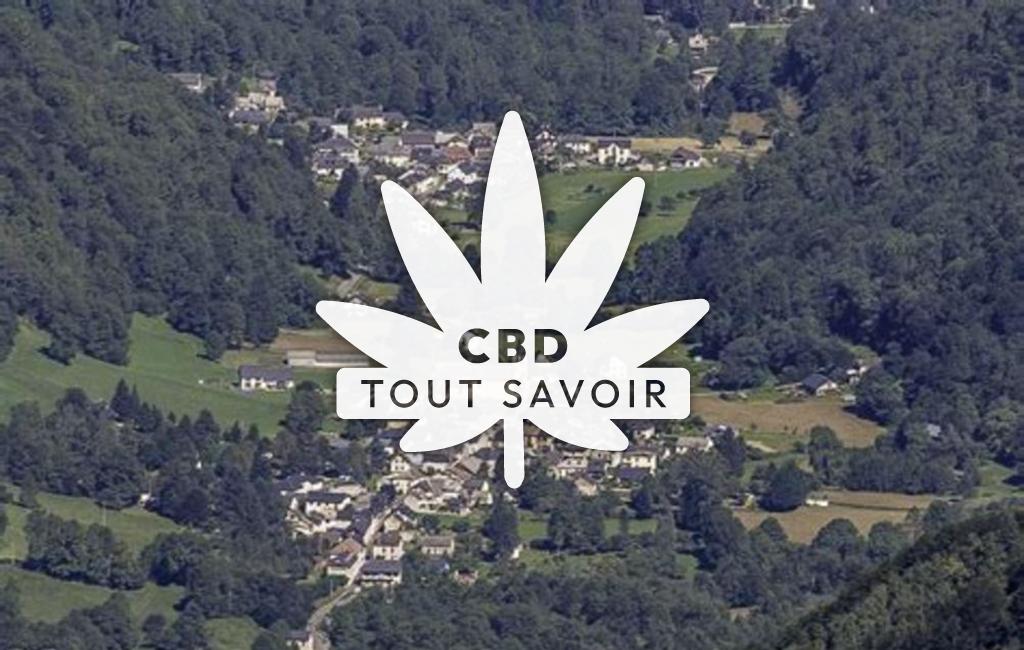 Village à Ustou avec feuille Cannabis CBD