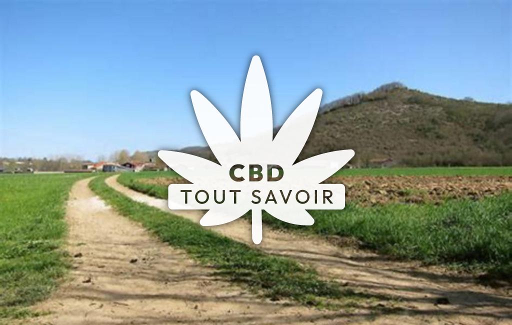 Village à Cazavet avec feuille Cannabis CBD