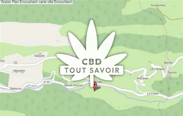 Village à Encourtiech avec feuille Cannabis CBD