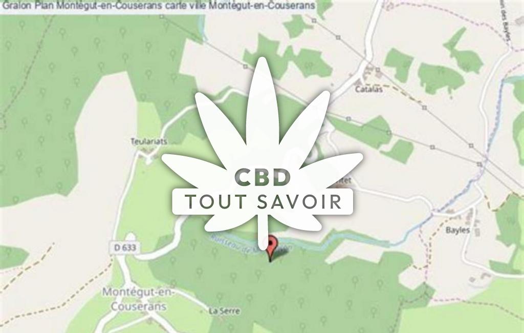 Village à Montegut-en-Couserans avec feuille Cannabis CBD