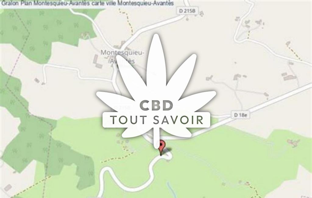 Village à Montesquieu-Avantes avec feuille Cannabis CBD