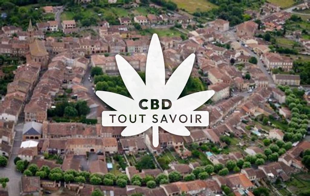 Village à Lezat-sur-Leze avec feuille Cannabis CBD