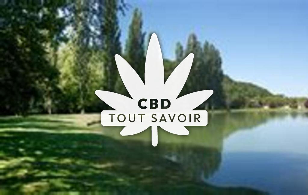 Village à Sainte-Croix-Volvestre avec feuille Cannabis CBD