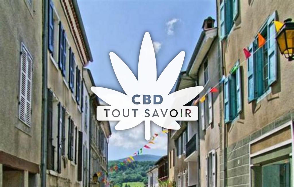 Village à La-Bastide-de-Serou avec feuille Cannabis CBD