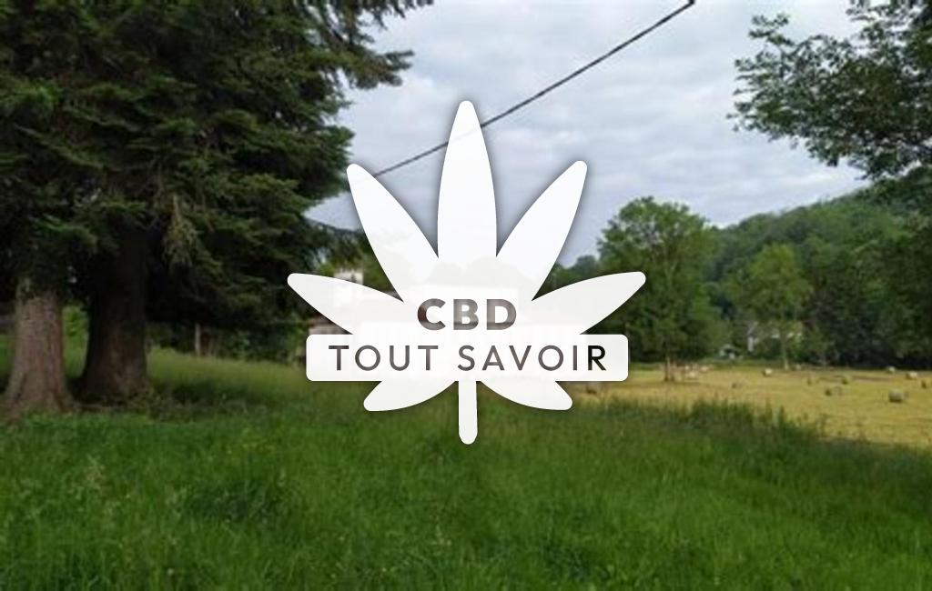 Village à Nescus avec feuille Cannabis CBD