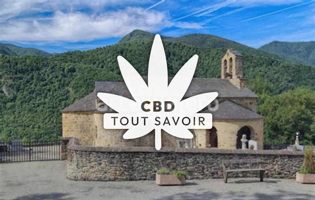 Village à Vernaux avec feuille Cannabis CBD