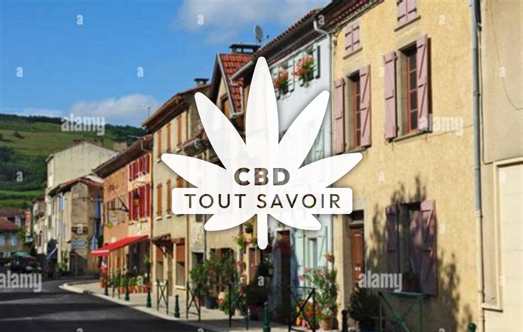 Village à Le-Mas-D'Azil avec feuille Cannabis CBD