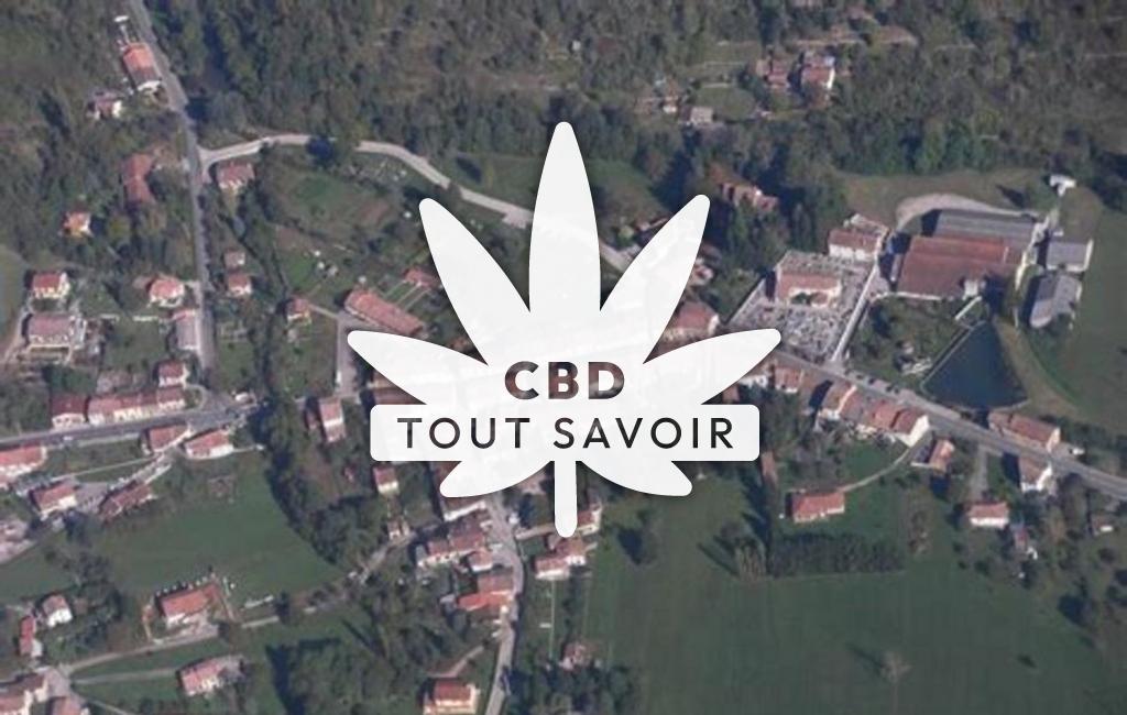 Village à L'Aiguillon avec feuille Cannabis CBD