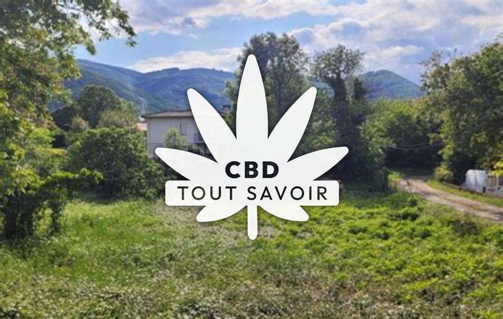 Village à Montgailhard avec feuille Cannabis CBD