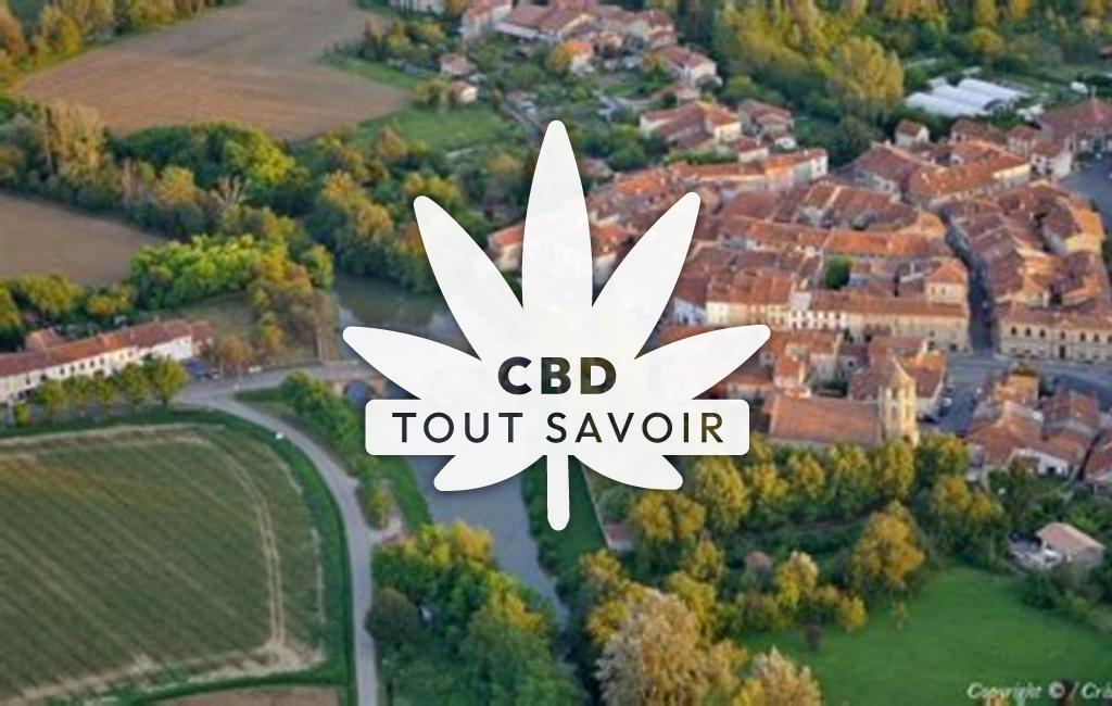 Village à Daumazan-sur-Arize avec feuille Cannabis CBD