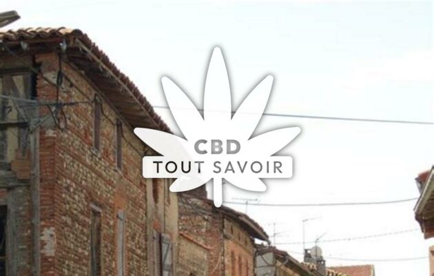 Village à La-Bastide-de-Besplas avec feuille Cannabis CBD