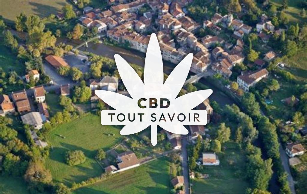 Village à Les-Bordes-sur-Arize avec feuille Cannabis CBD