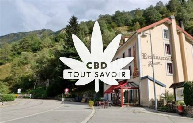 Village à L'Hospitalet-Pres-l'Andorre avec feuille Cannabis CBD