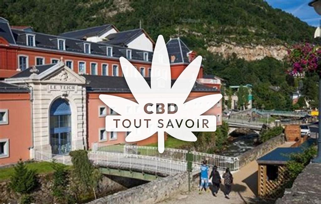 Village à Ornolac-Ussat-les-Bains avec feuille Cannabis CBD