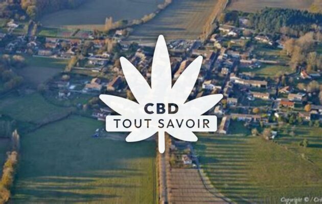 Village à La-Bastide-de-Bousignac avec feuille Cannabis CBD