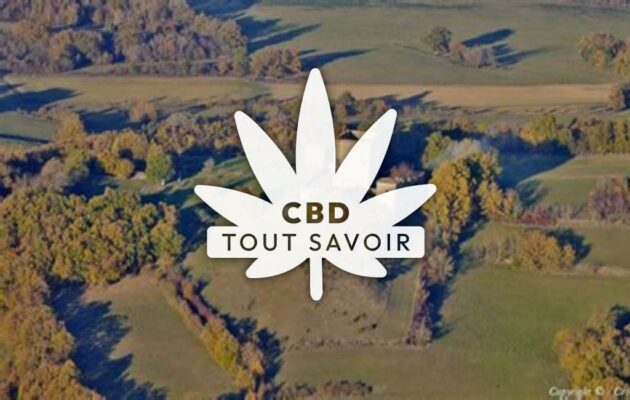 Village à Saint-Quentin-la-Tour avec feuille Cannabis CBD