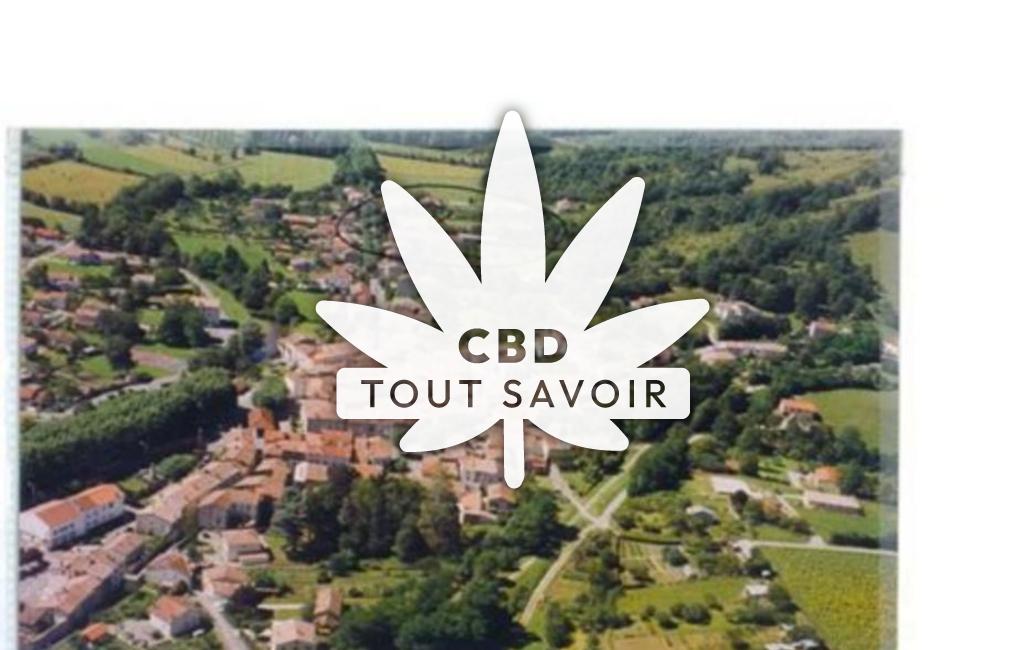 Village à La-Bastide-sur-l'Hers avec feuille Cannabis CBD