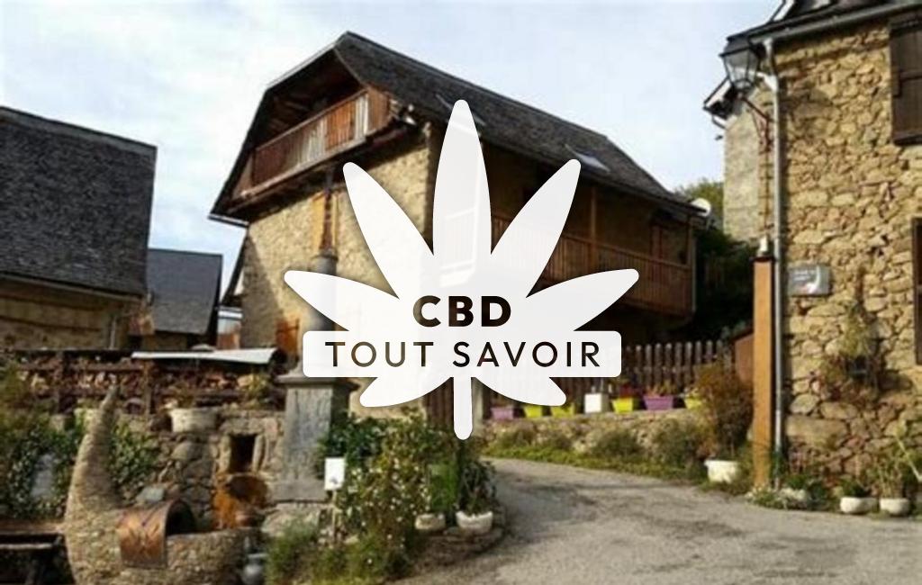 Village à Arrien-en-Bethmale avec feuille Cannabis CBD